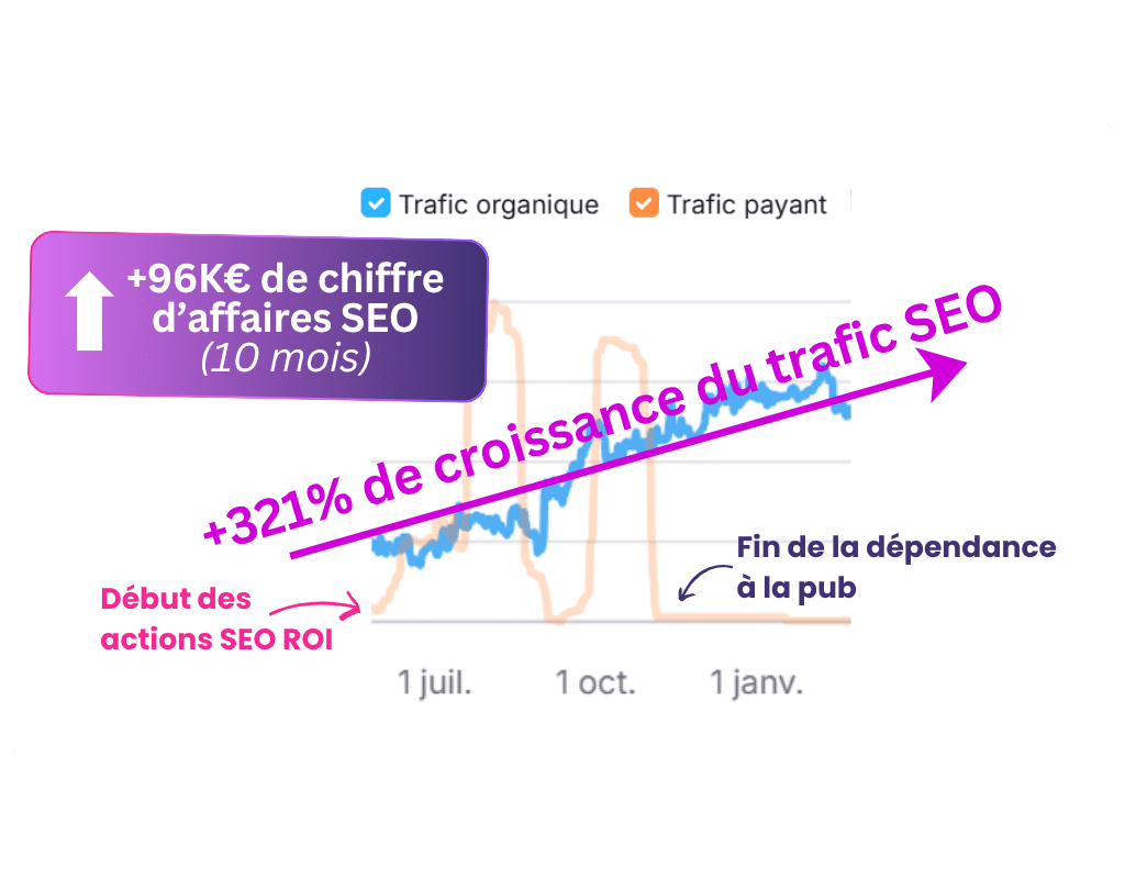 resultat-seo-business-e-commerce-cookmyseo (2)