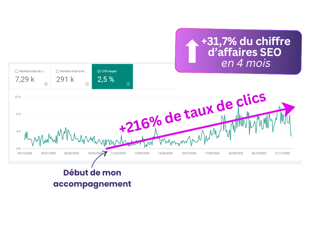 resultat-seo-business-e-commerce-cookmyseo (3)