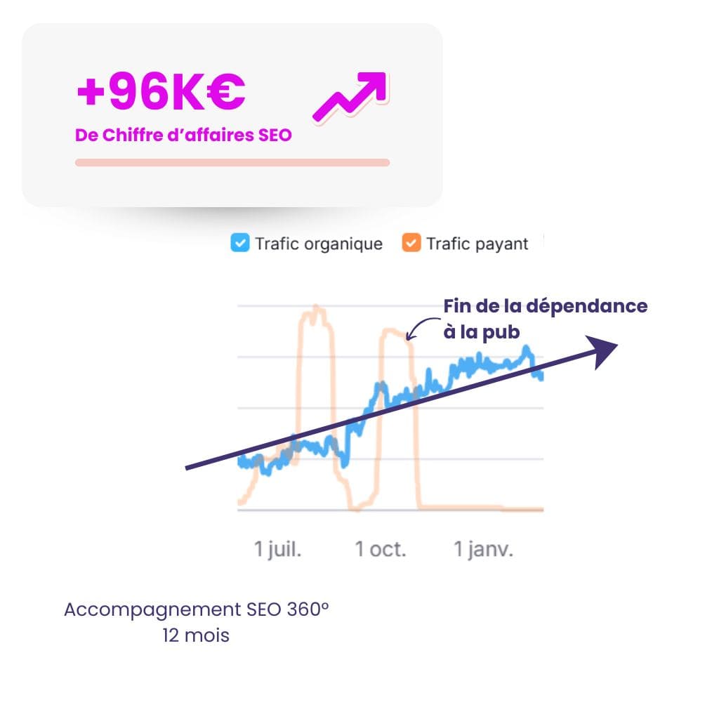 +96K€ de CA SEO site marchand resultat clients cookmyseo