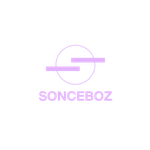 logo-clients-sonceboz-cookmyseo (1)